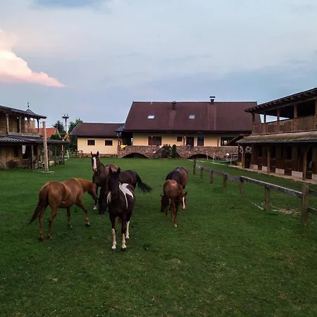 Ranch Kamovci21 Dobrovnik