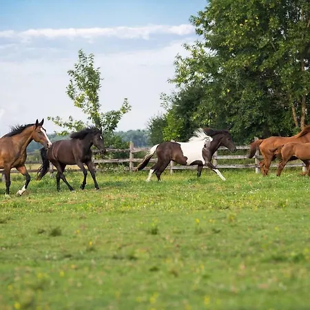 Ranch Kamovci21 Vakantiehuis