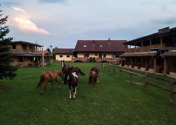 Ranch Kamovci21 Dobronak